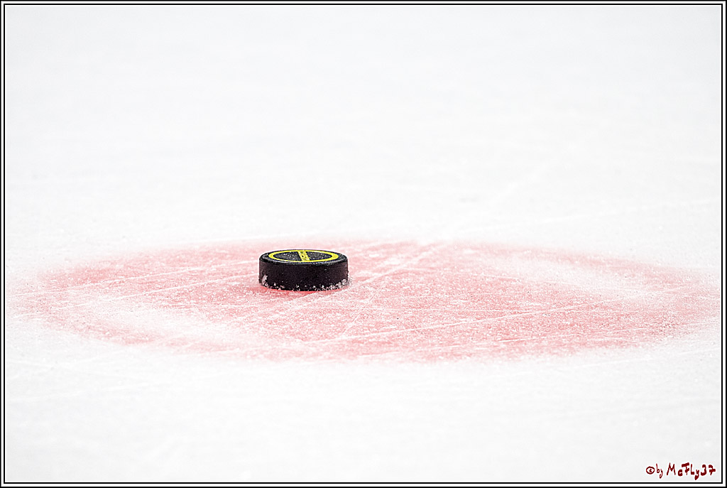 DEL; Duesseldorfer EG - Koelner Haie, 19.10.2018
